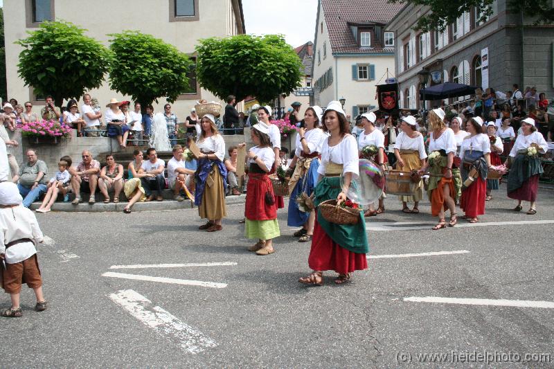 IMG_6534 (2) 